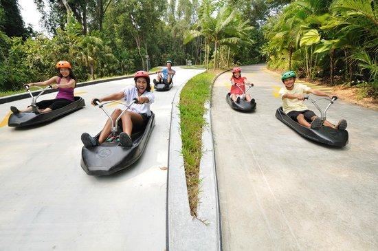Sentosa Luge